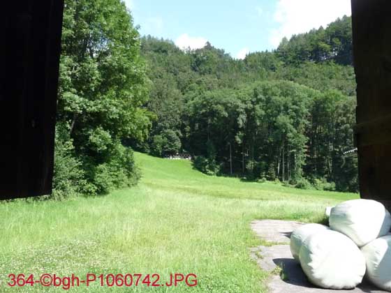 364-©bgh-P1060742